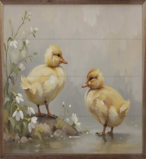 Ducklings